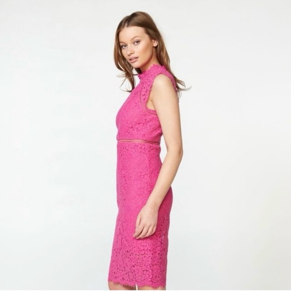 Bardot Lace Panel dark pink size 10. - Picture 8 of 8
